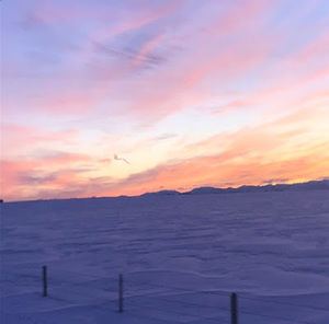 Meet your Posher, Mitchell